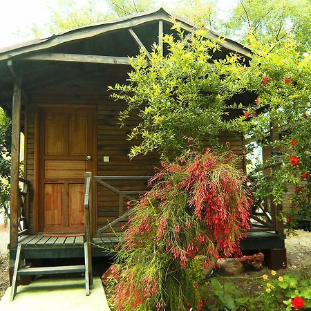 Merhaba Bungalow Hotell Beykonak Rom bilde